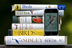 Birding Field Guides