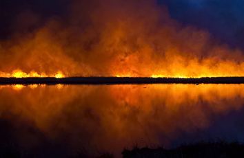 Burning the Marsh - Jim Flowers