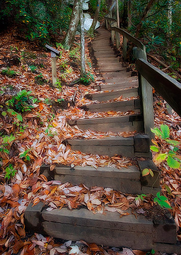 More Stairs on Trail, South Mountians State Park 