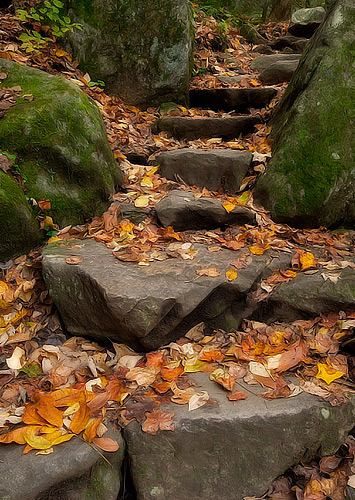 Stone Stairs on Trail, South Mountians State Park