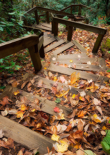 Winding Stairs on Trail, South Mountians State Park