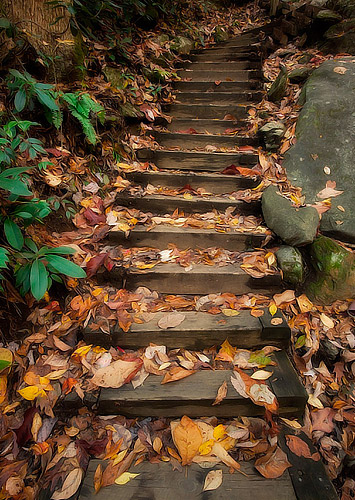 Wooden Stairs on Trail, South Mountians State Park