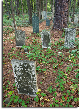 Wooded Graveyard